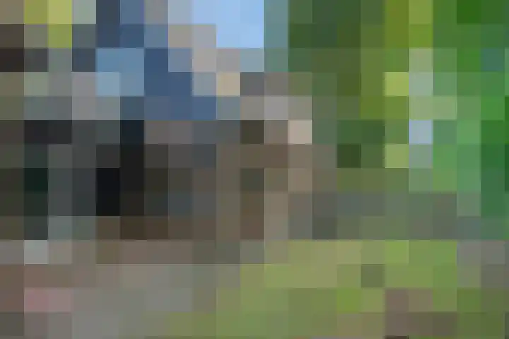 Harremaatweg 36 Voorthuizen thumbnail 38