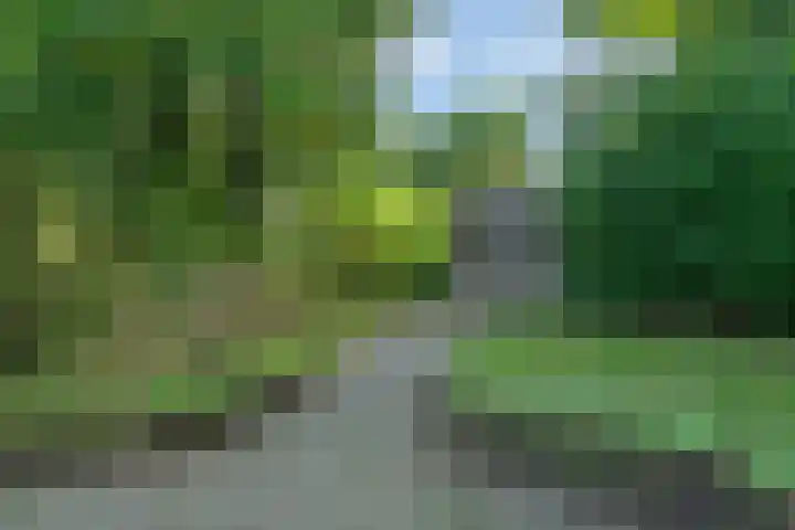 Harremaatweg 36 Voorthuizen thumbnail 39