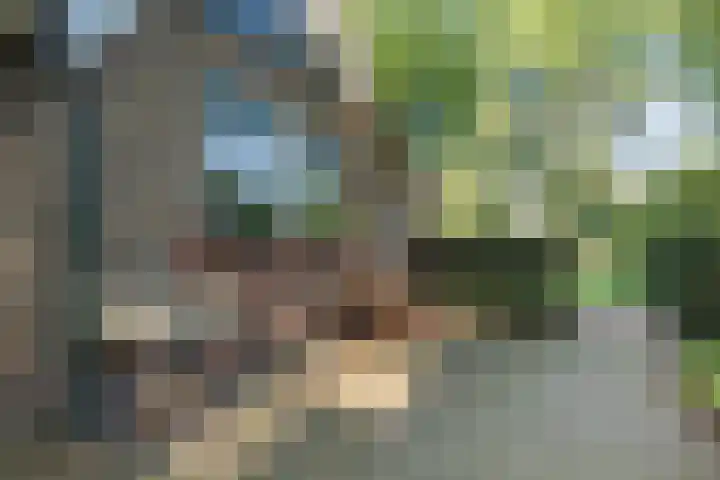 Harremaatweg 36 Voorthuizen thumbnail 41