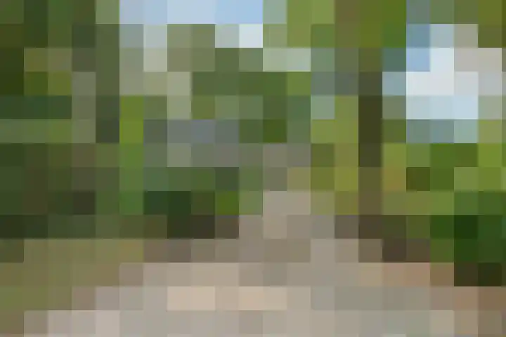 Harremaatweg 36 Voorthuizen thumbnail 43