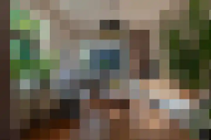 Harremaatweg 36 Voorthuizen thumbnail 9