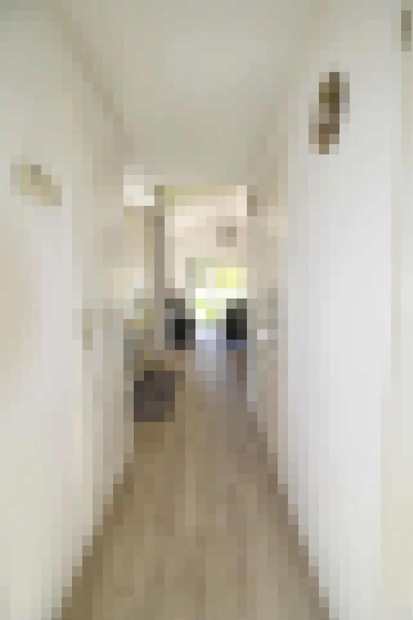 Harremaatweg 44 12 Voorthuizen thumbnail 16