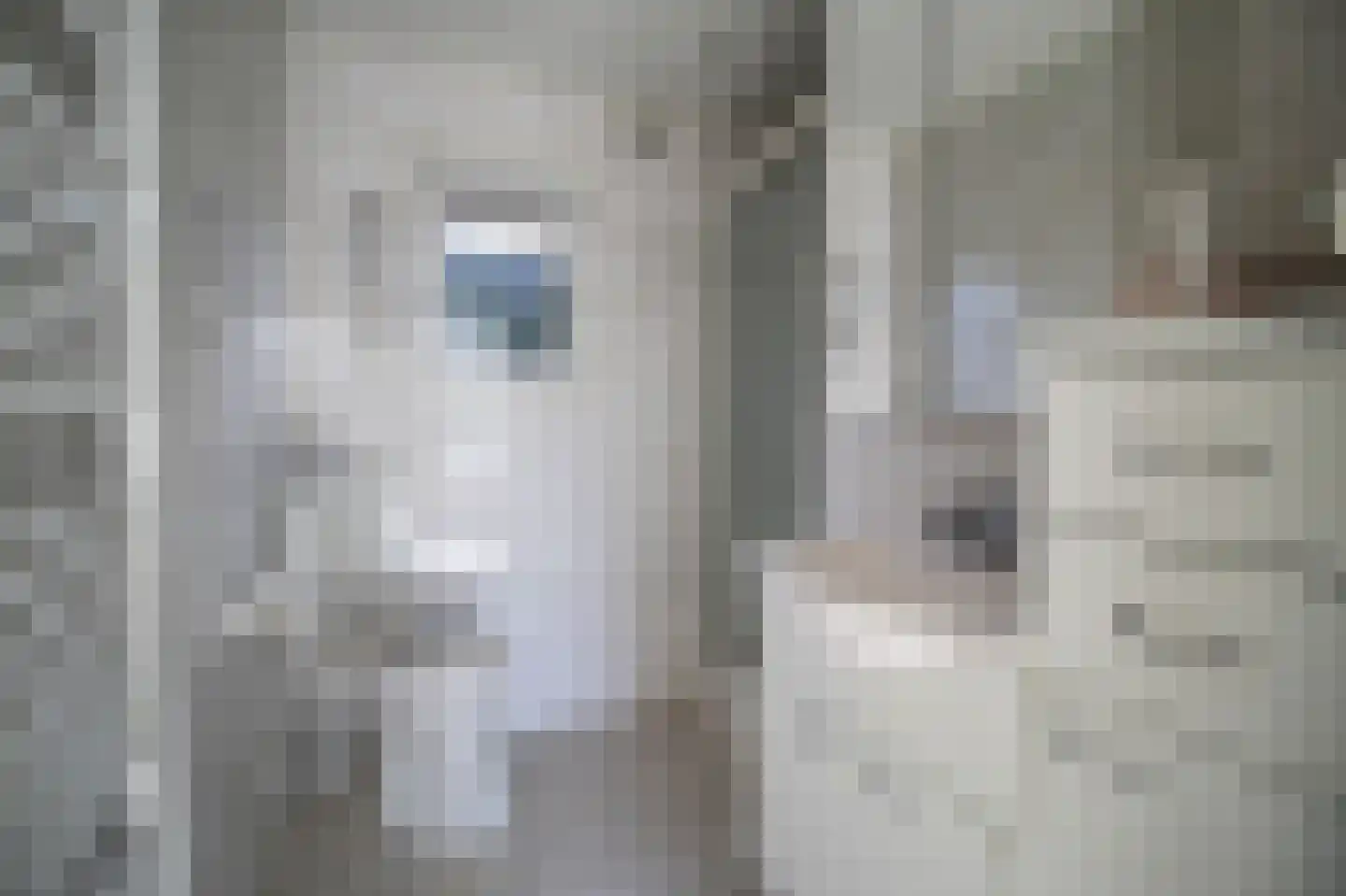 Harremaatweg 44 12 Voorthuizen thumbnail 18