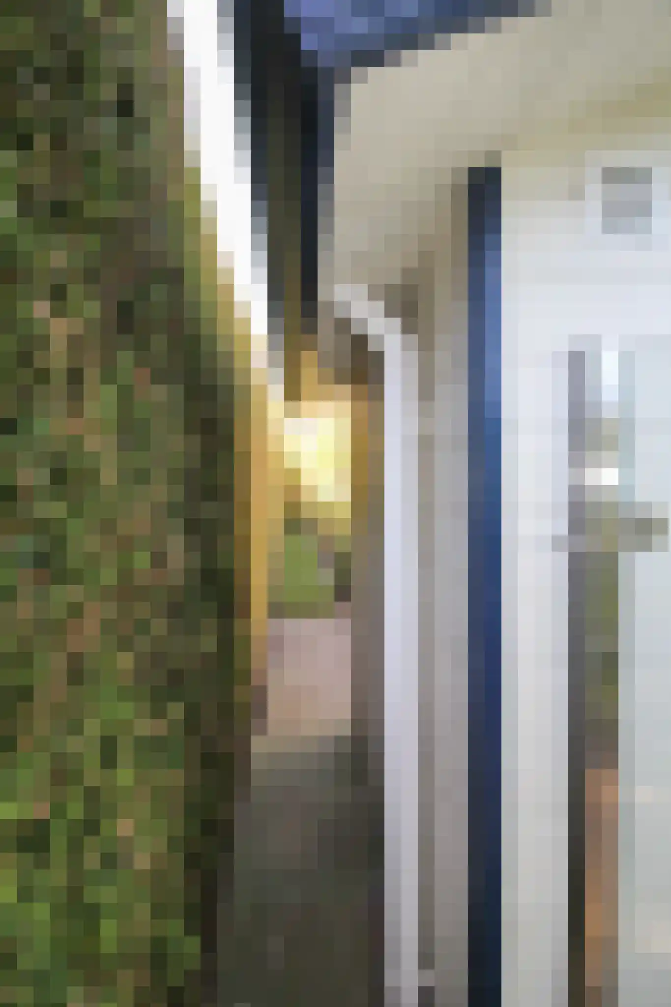 Harremaatweg 44 12 Voorthuizen thumbnail 31
