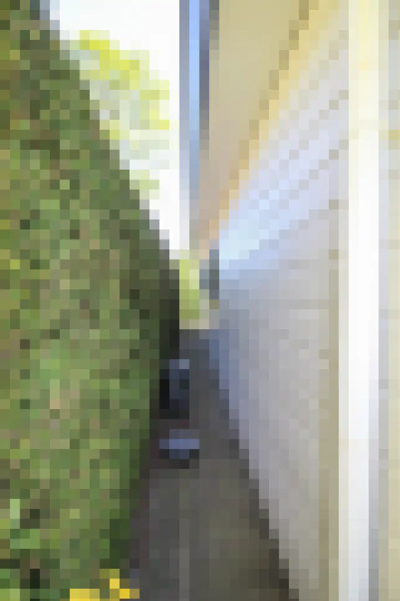 Harremaatweg 44 12 Voorthuizen thumbnail 38