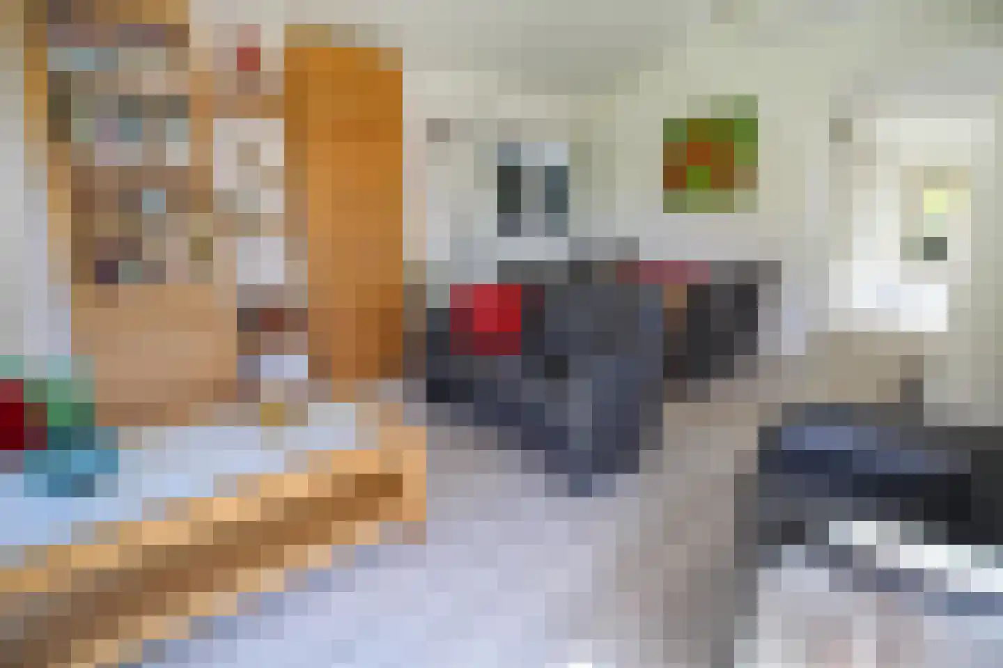Harremaatweg 44 12 Voorthuizen thumbnail 6