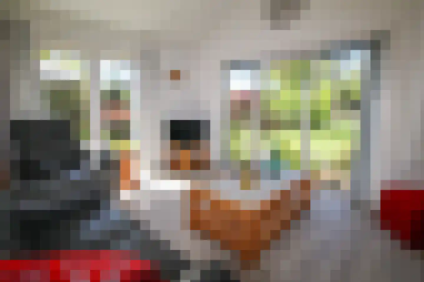 Harremaatweg 44 12 Voorthuizen thumbnail 9