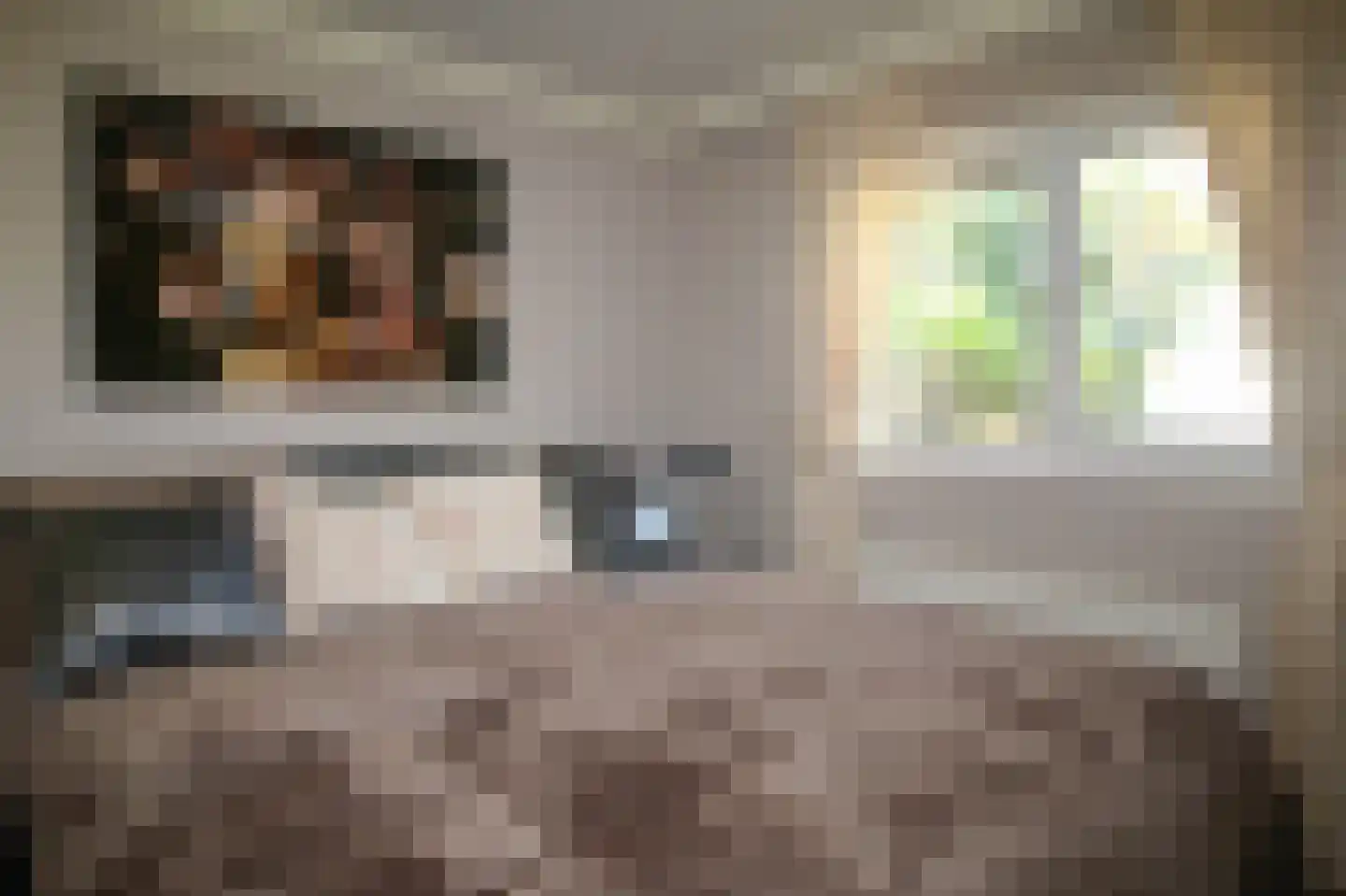 Harremaatweg 44 16 Voorthuizen thumbnail 17