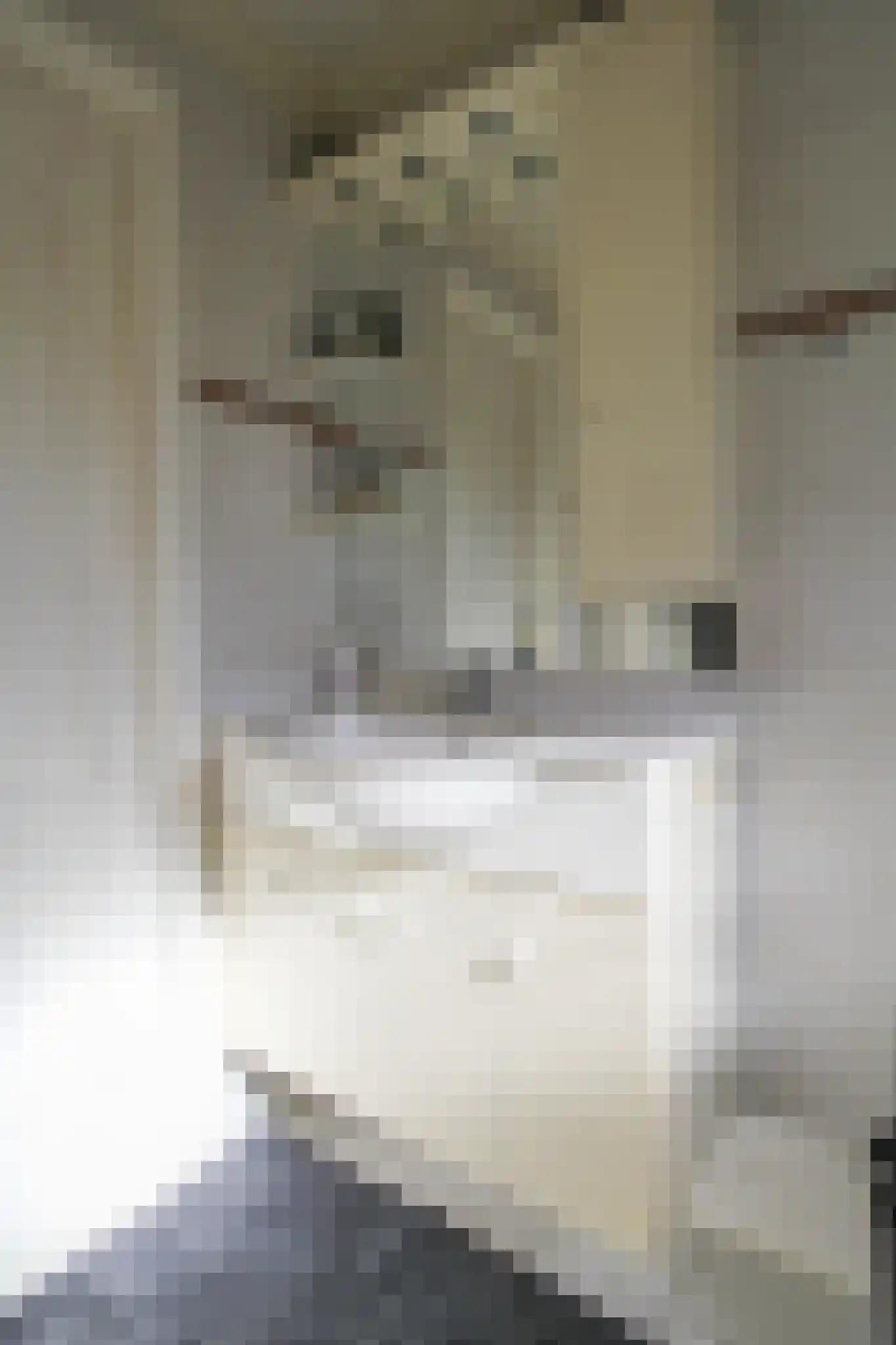 Harremaatweg 44 16 Voorthuizen thumbnail 25