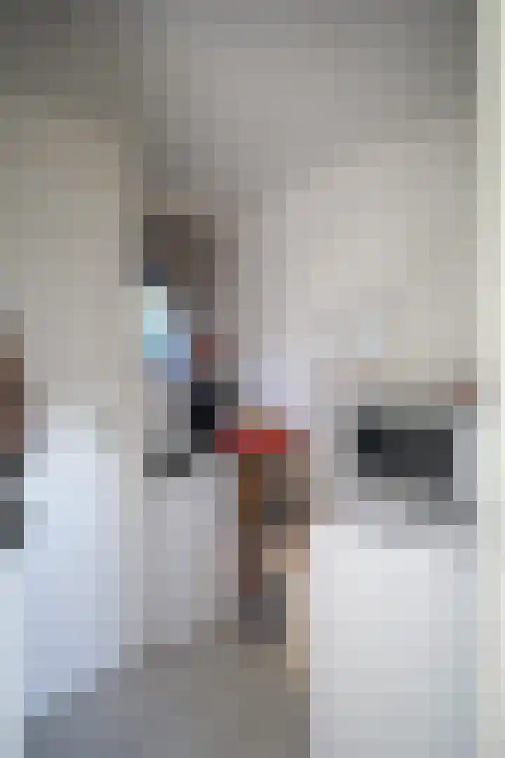 Harremaatweg 44 26 Voorthuizen thumbnail 10