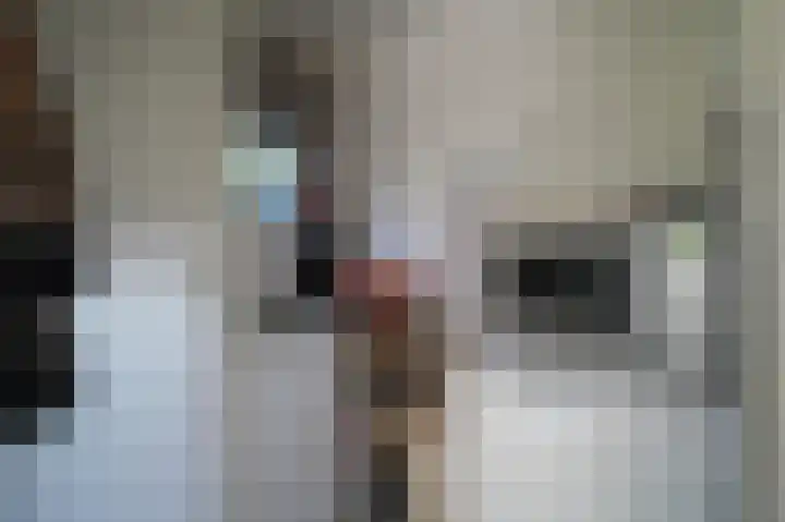 Harremaatweg 44 26 Voorthuizen thumbnail 11