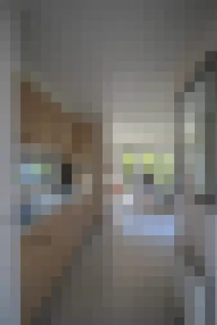 Harremaatweg 44 26 Voorthuizen thumbnail 12