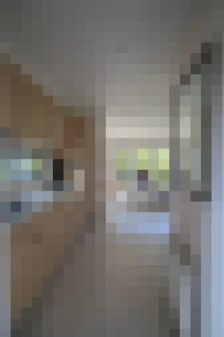 Harremaatweg 44 26 Voorthuizen thumbnail 13