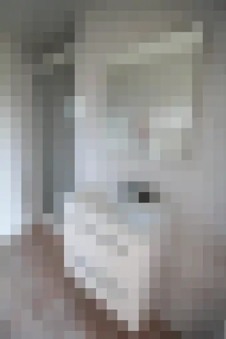 Harremaatweg 44 26 Voorthuizen thumbnail 18