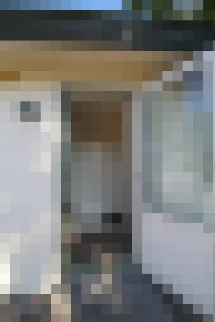 Harremaatweg 44 26 Voorthuizen thumbnail 19