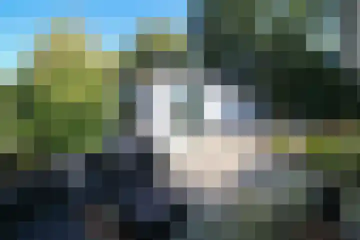 Harremaatweg 44 26 Voorthuizen thumbnail 22