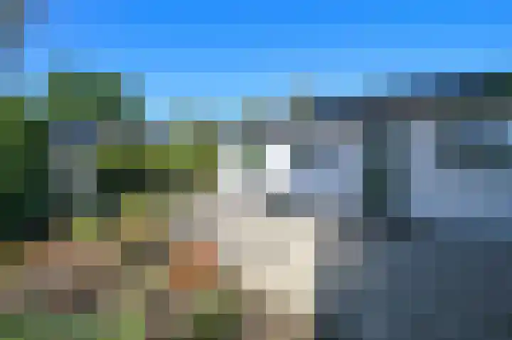 Harremaatweg 44 26 Voorthuizen thumbnail 24