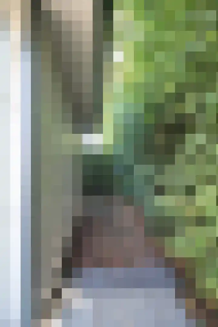 Harremaatweg 44 26 Voorthuizen thumbnail 29