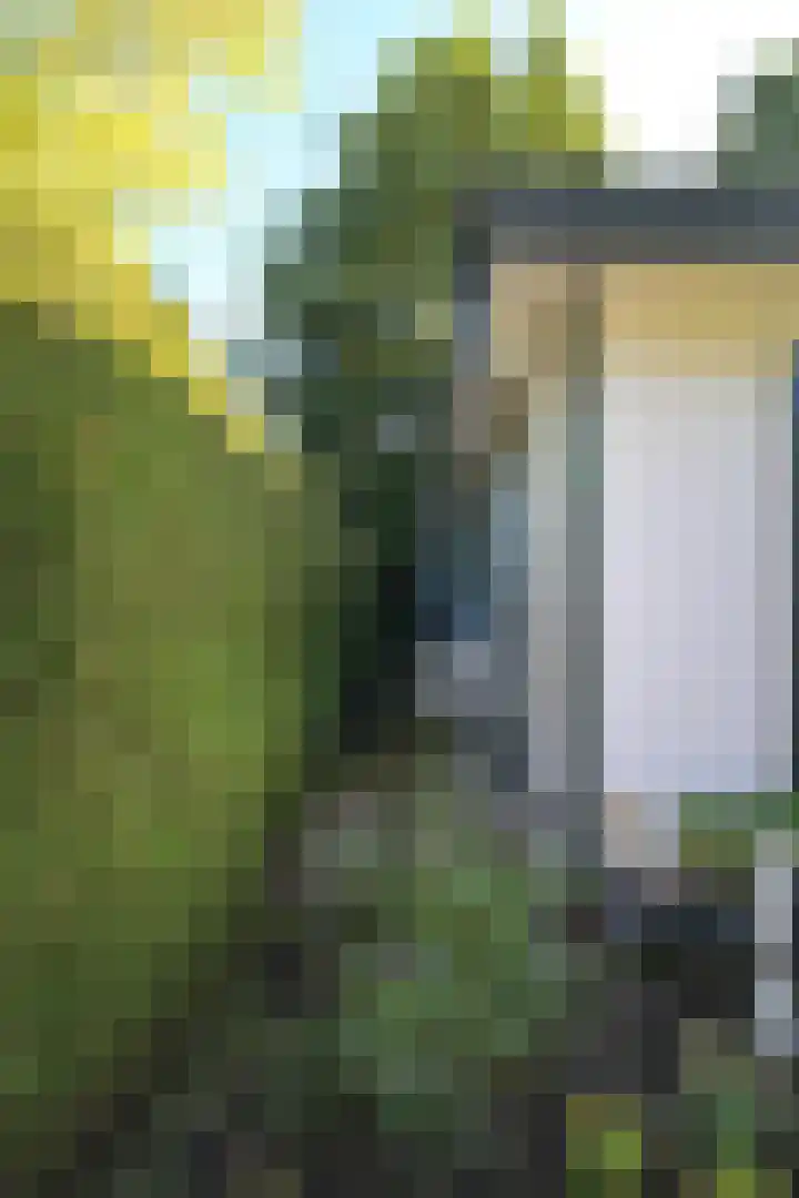 Harremaatweg 44 26 Voorthuizen thumbnail 30