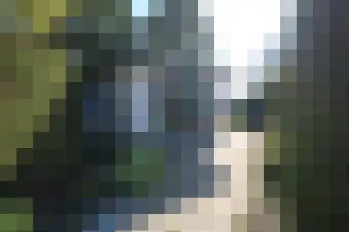 Harremaatweg 44 26 Voorthuizen thumbnail 31