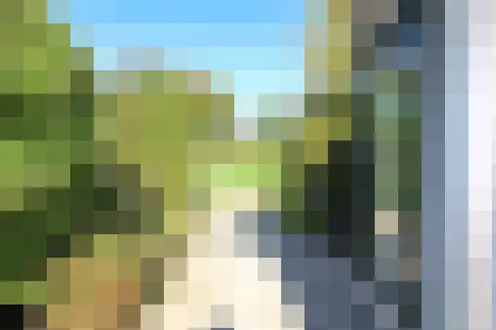Harremaatweg 44 26 Voorthuizen thumbnail 32