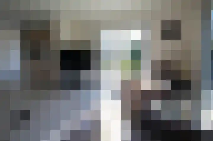 Harremaatweg 44 26 Voorthuizen thumbnail 4