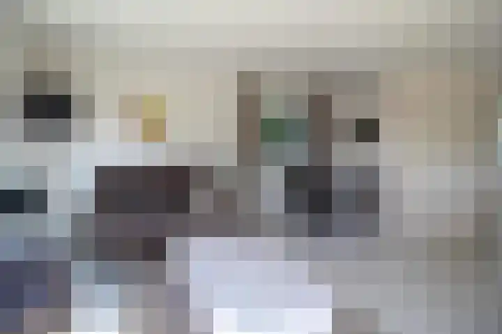 Harremaatweg 44 26 Voorthuizen thumbnail 5