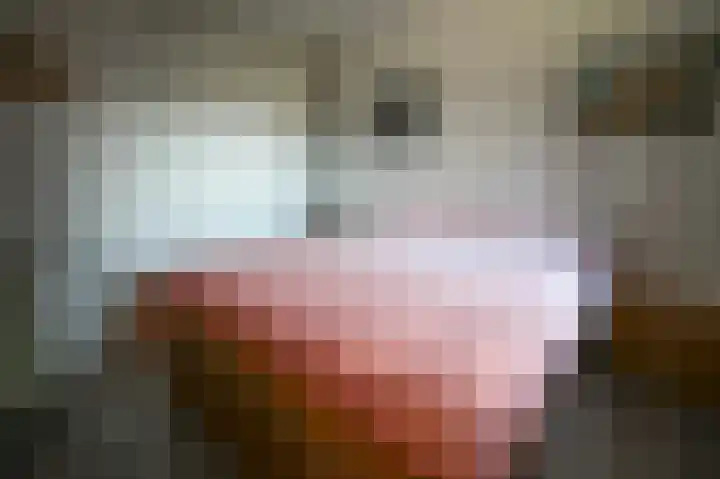 Harremaatweg 44 26 Voorthuizen thumbnail 7