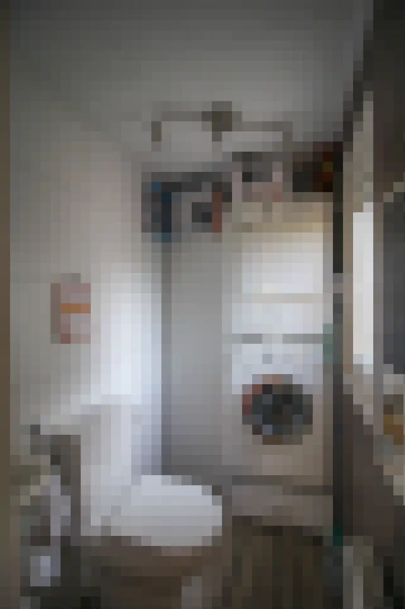 Harremaatweg 44 29 Voorthuizen thumbnail 10