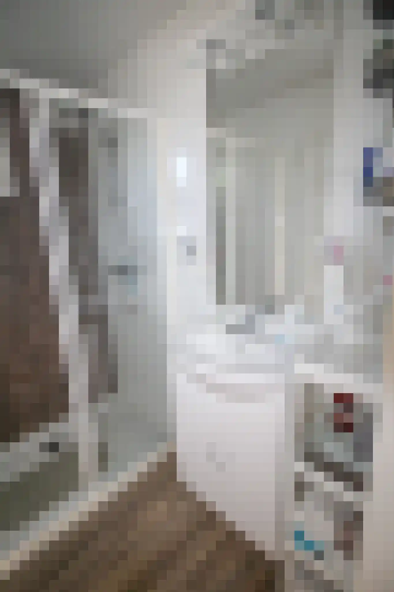 Harremaatweg 44 29 Voorthuizen thumbnail 12