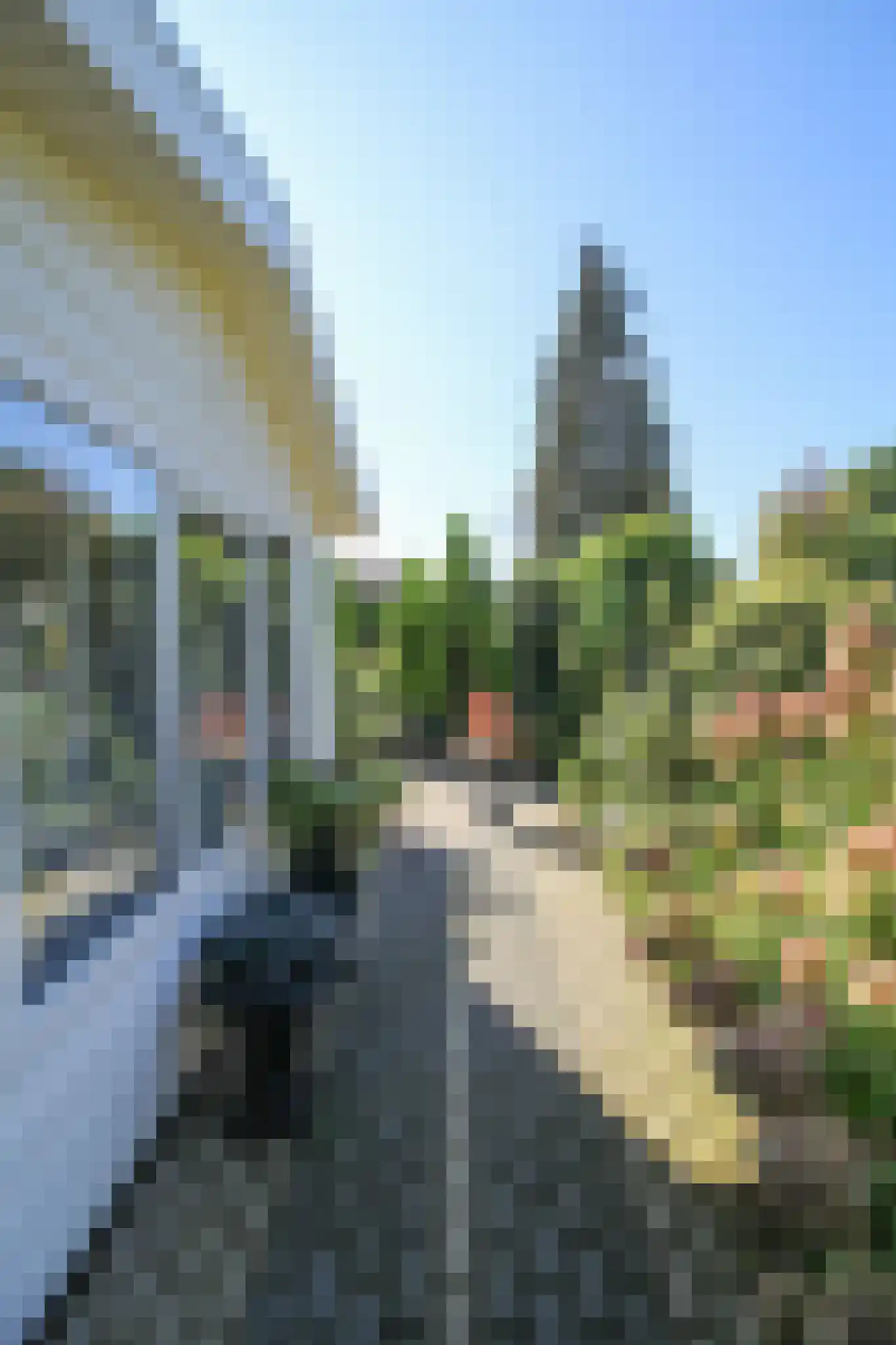 Harremaatweg 44 29 Voorthuizen thumbnail 17