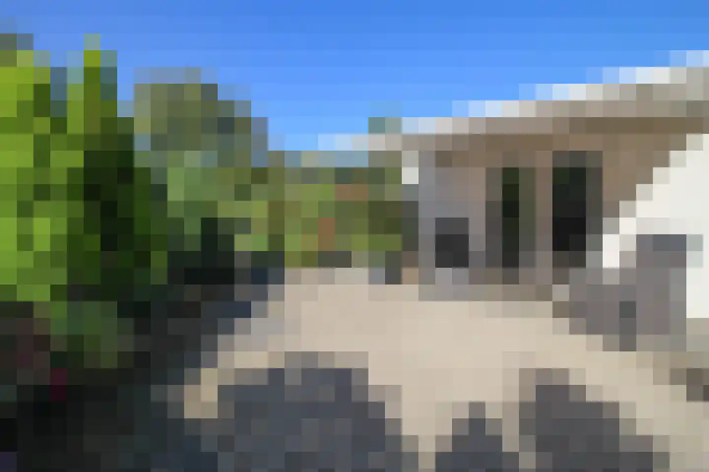 Harremaatweg 44 29 Voorthuizen thumbnail 18