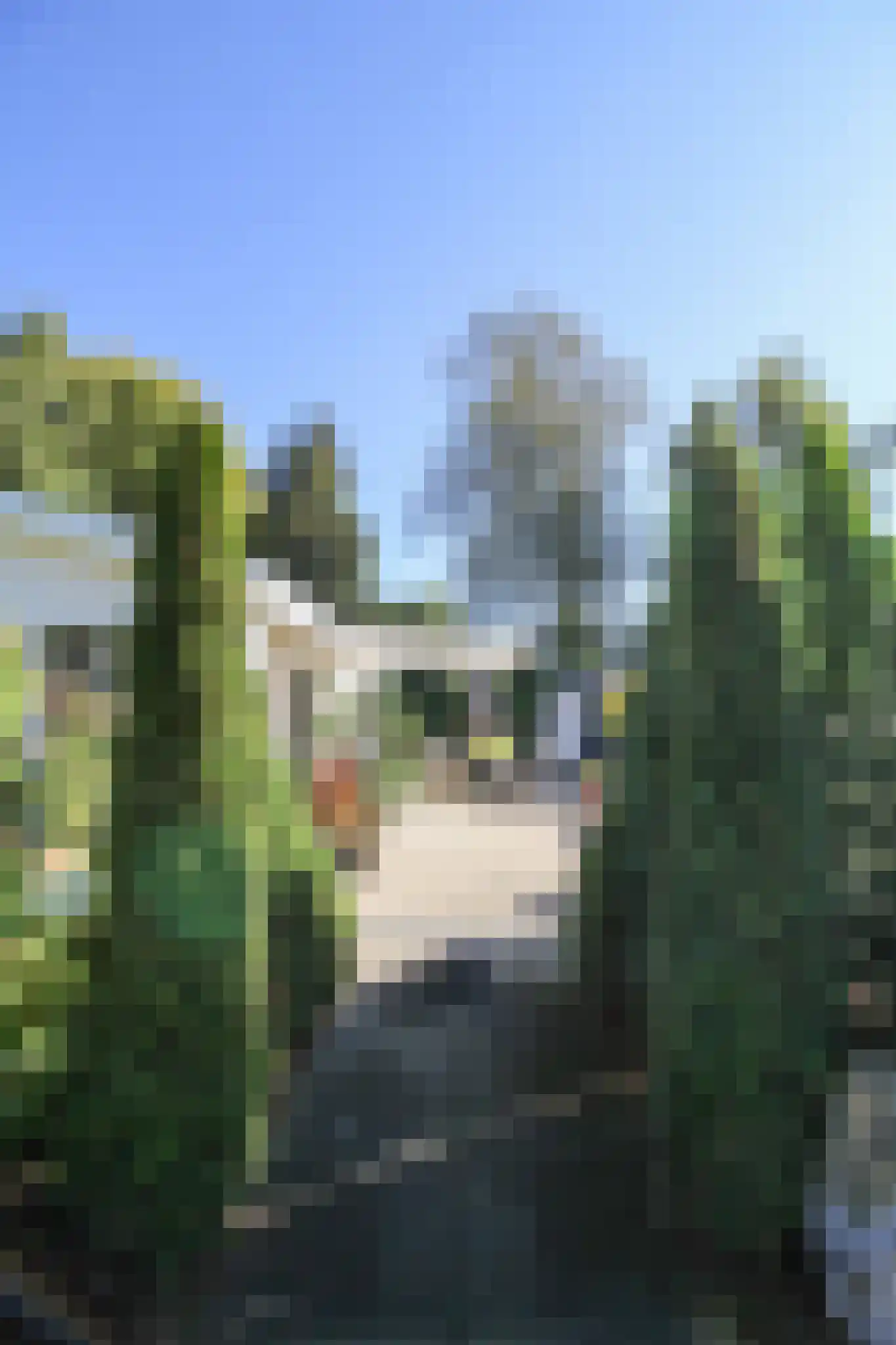 Harremaatweg 44 29 Voorthuizen thumbnail 28