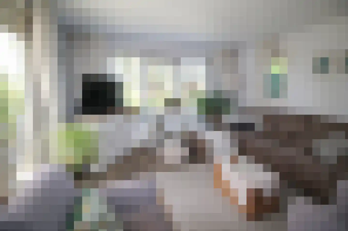 Harremaatweg 44 29 Voorthuizen thumbnail 4