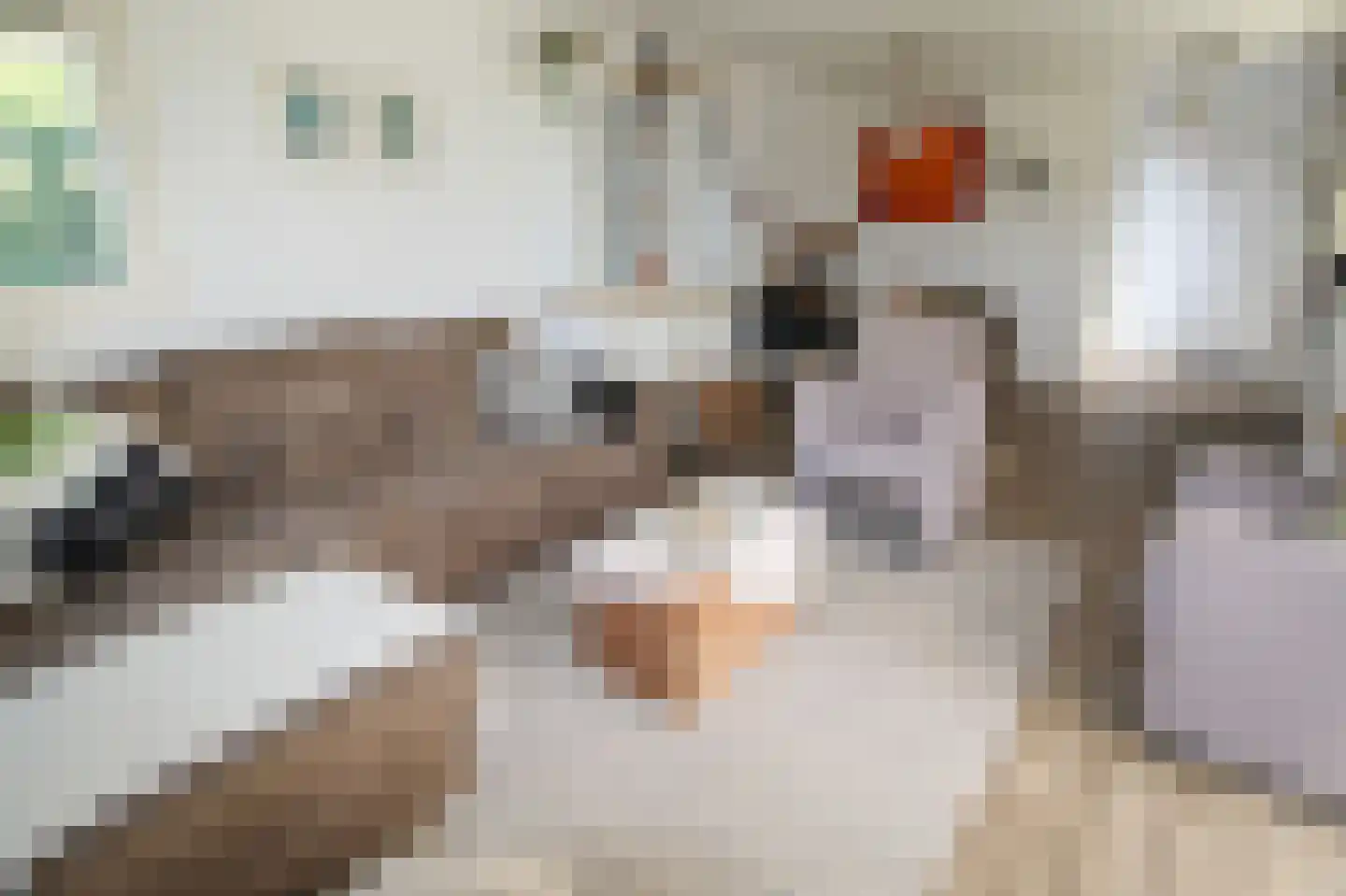 Harremaatweg 44 29 Voorthuizen thumbnail 5