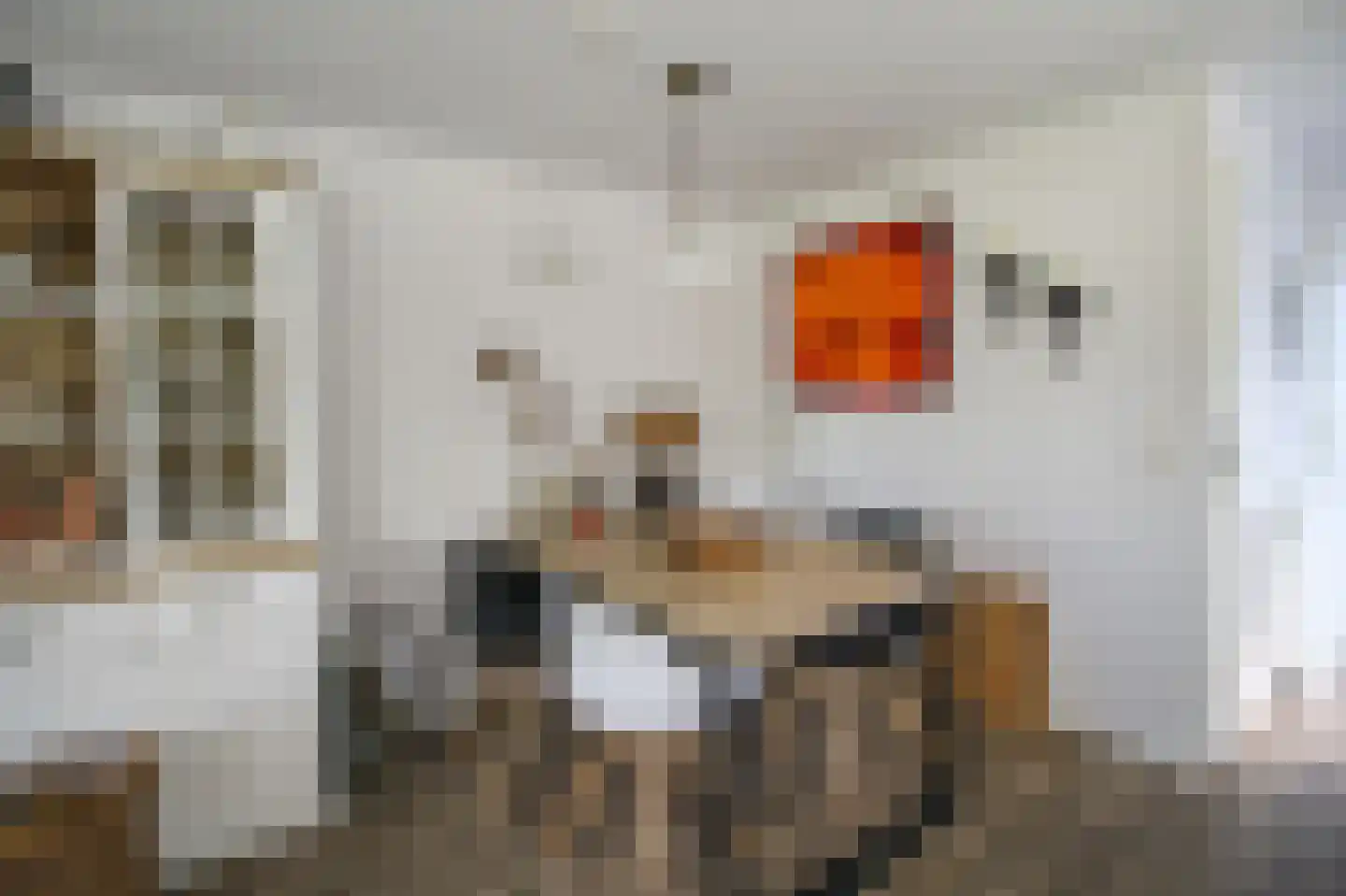 Harremaatweg 44 29 Voorthuizen thumbnail 6
