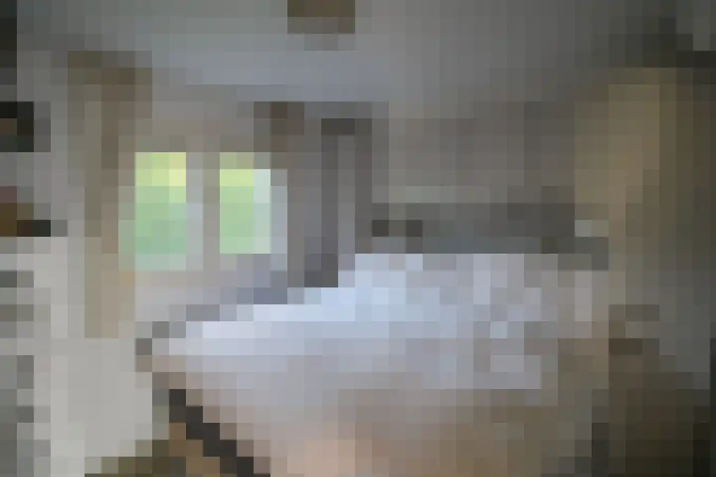 Harremaatweg 44 29 Voorthuizen thumbnail 8