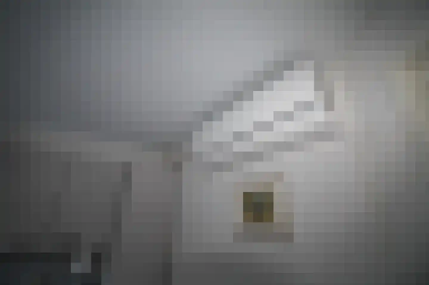 Harremaatweg 44 29 Voorthuizen thumbnail 9