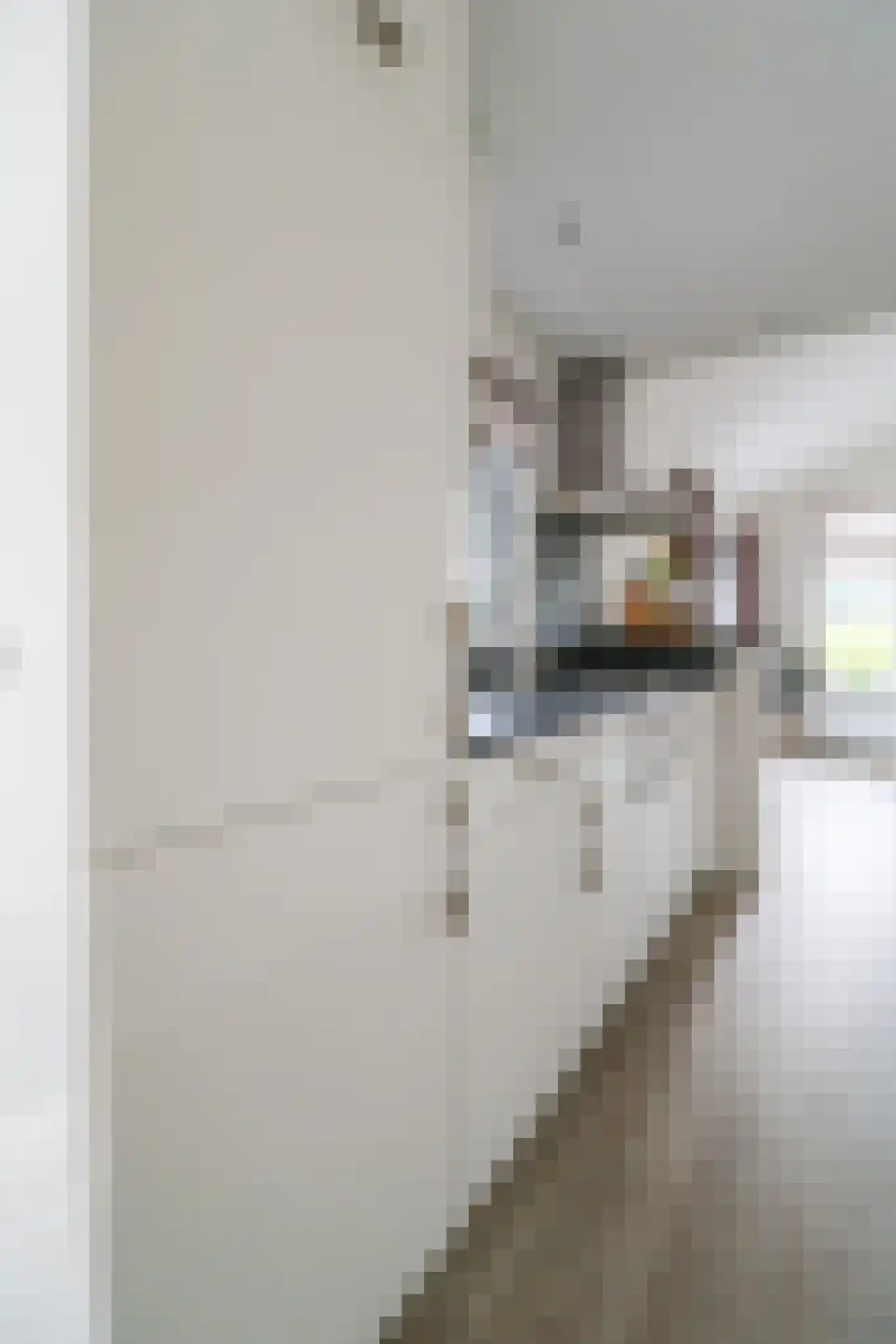 Harremaatweg 46 12 Voorthuizen thumbnail 13