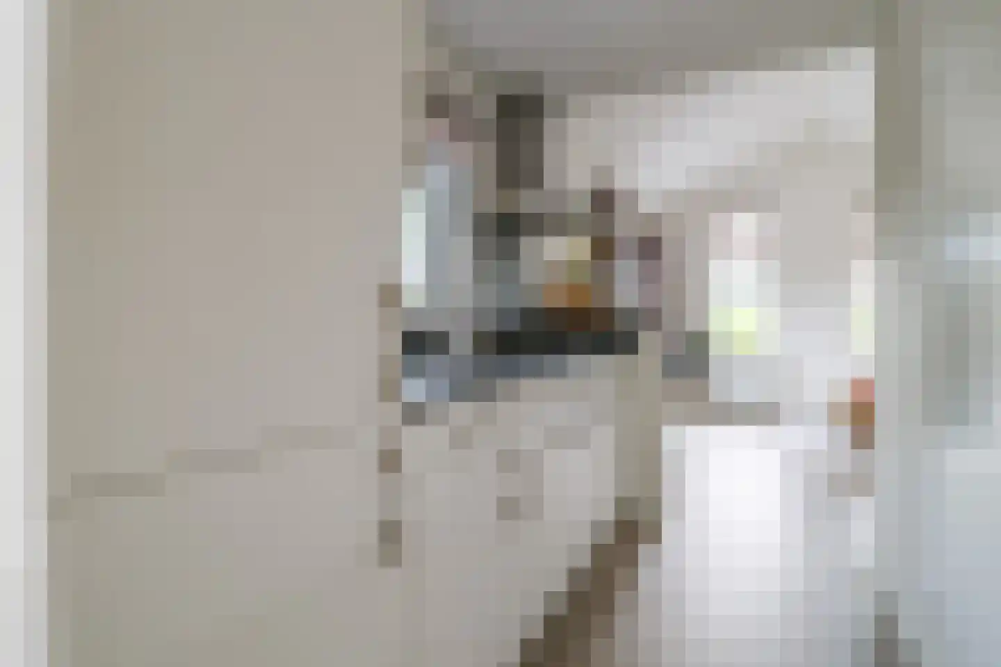Harremaatweg 46 12 Voorthuizen thumbnail 14