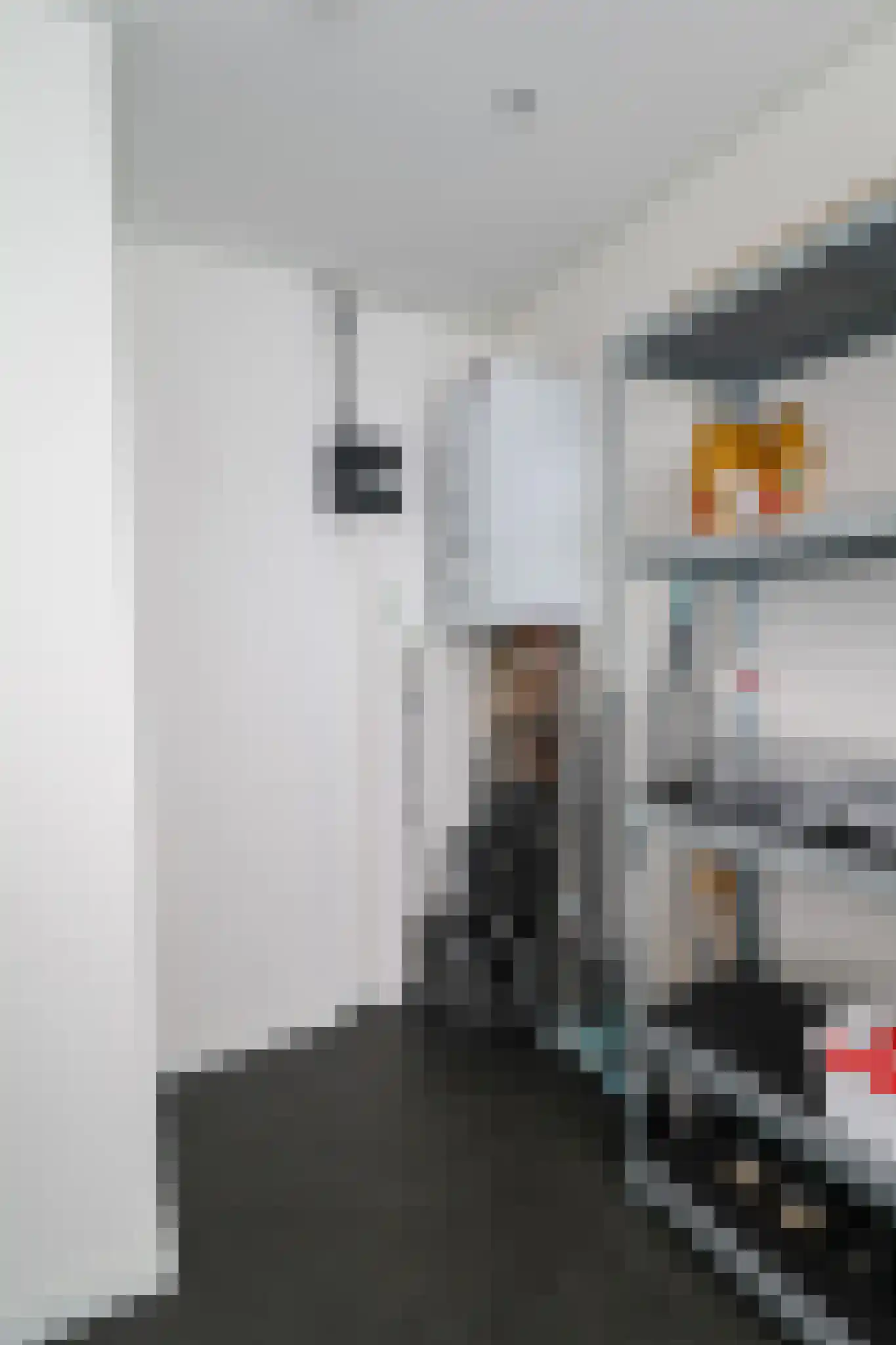 Harremaatweg 46 12 Voorthuizen thumbnail 29