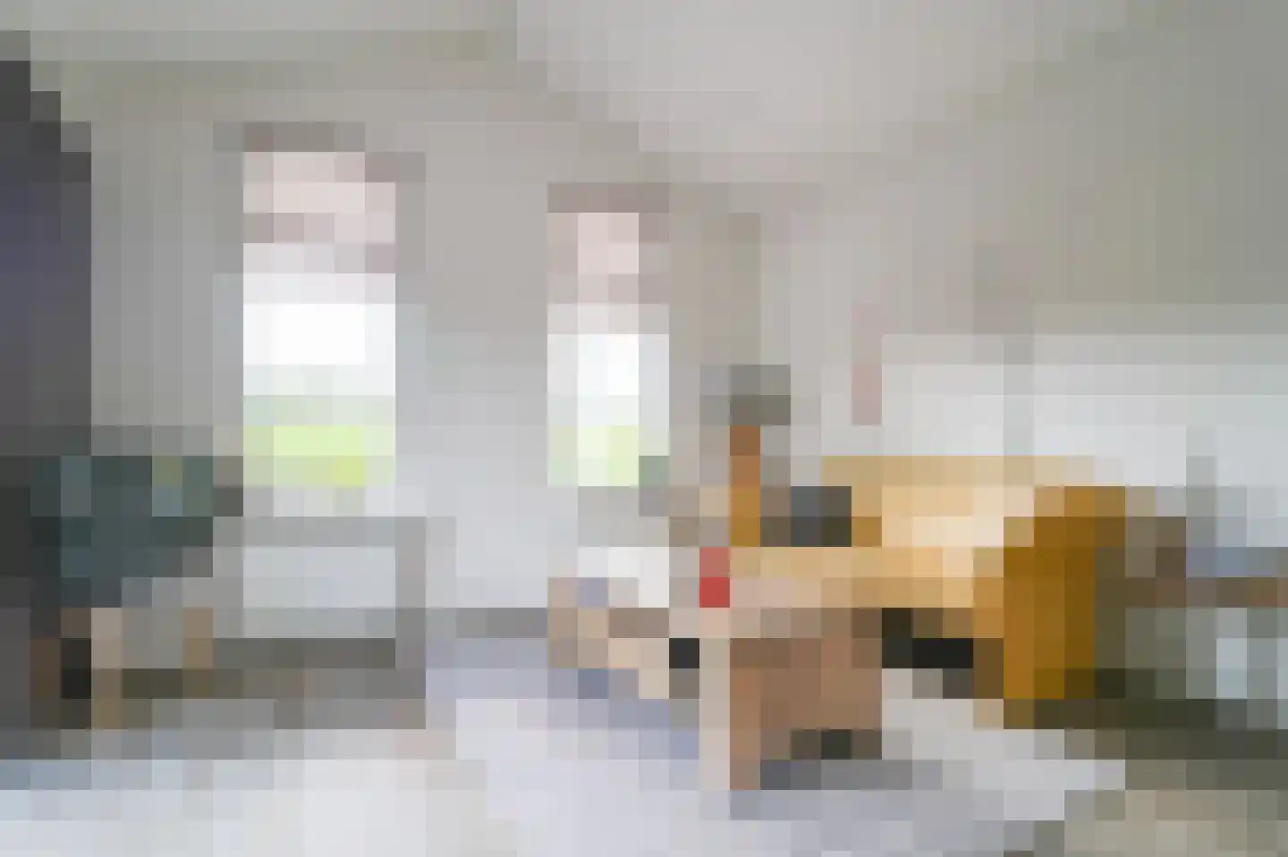 Harremaatweg 46 12 Voorthuizen thumbnail 8