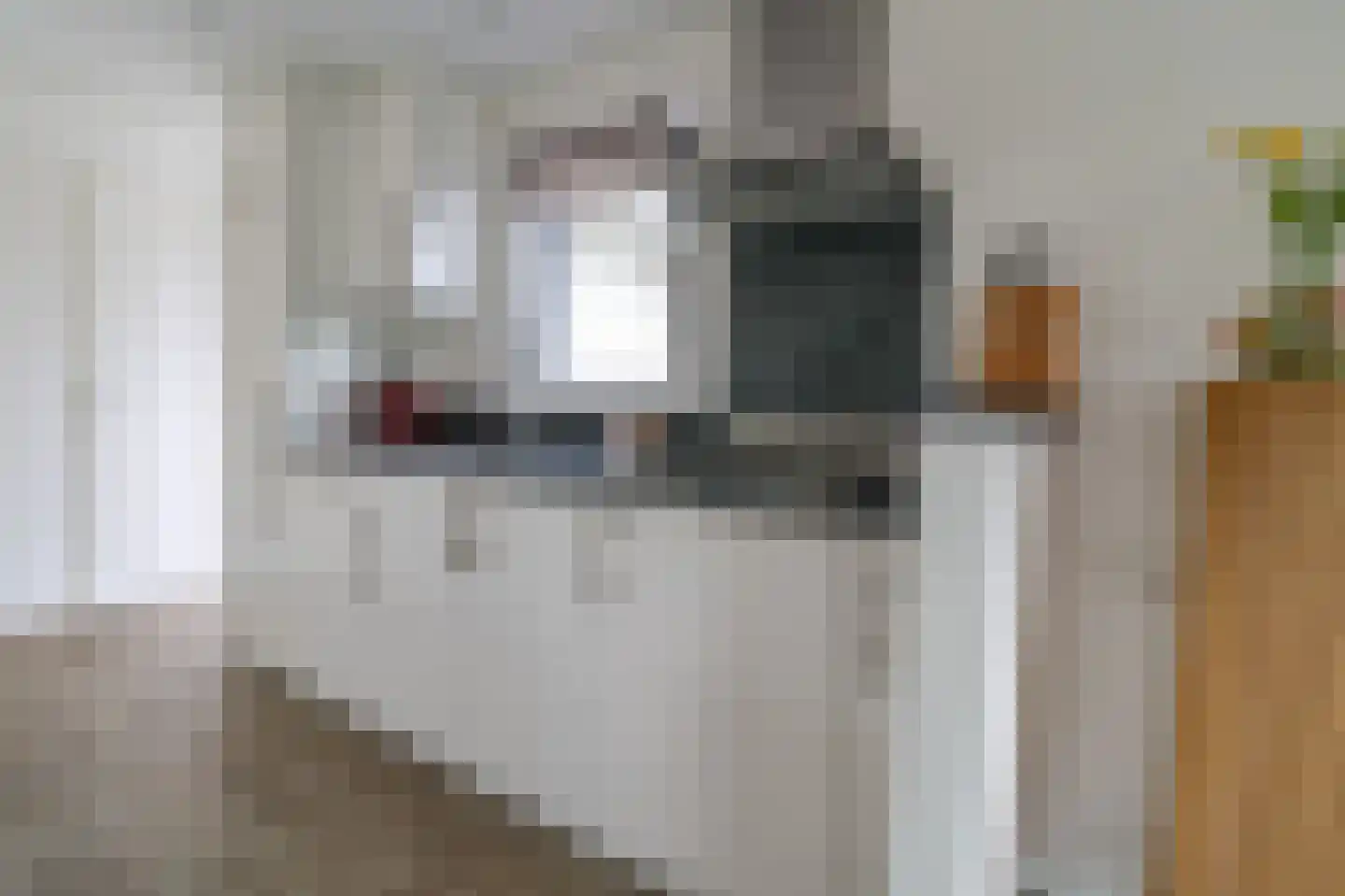 Harremaatweg 46 12 Voorthuizen thumbnail 9