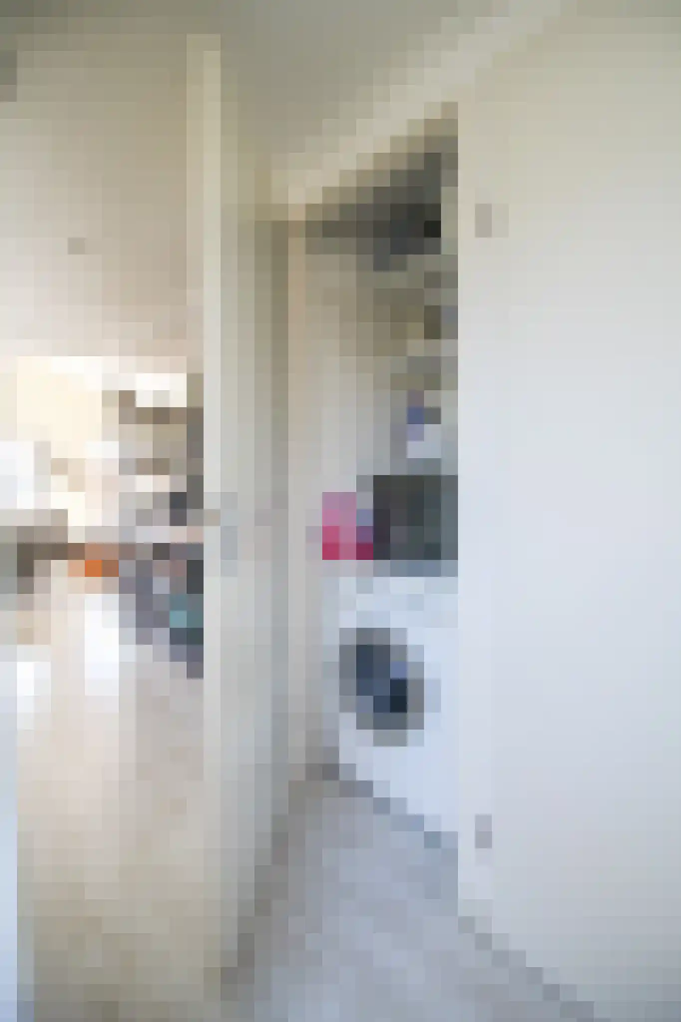 Harremaatweg 46 14 Voorthuizen thumbnail 16