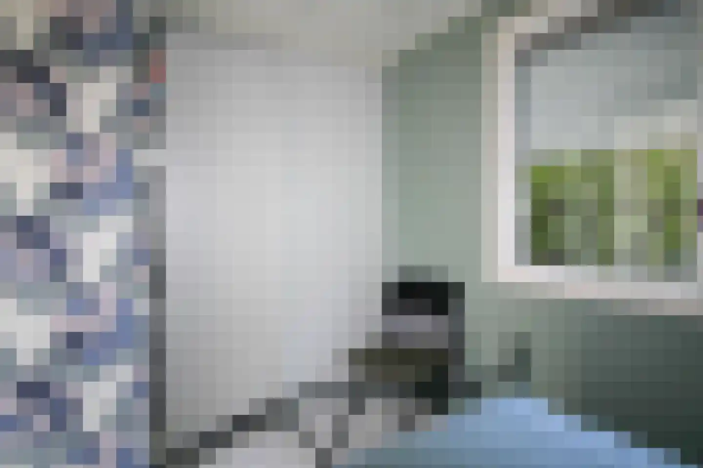 Harremaatweg 46 14 Voorthuizen thumbnail 18