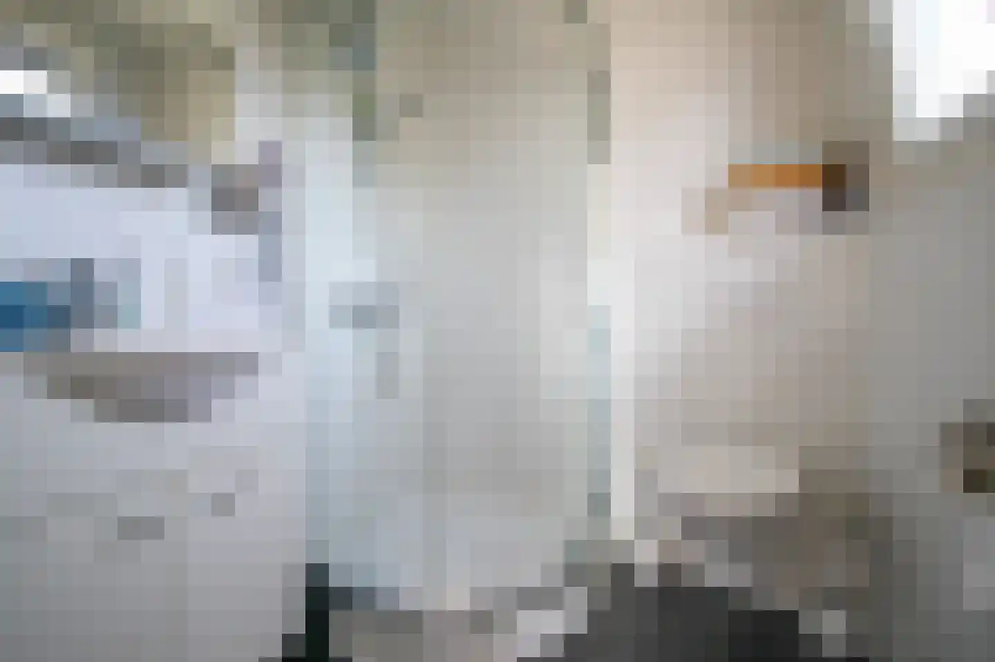 Harremaatweg 46 14 Voorthuizen thumbnail 21