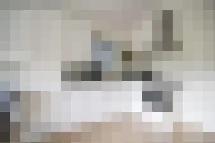 Harremaatweg 46 15 Voorthuizen thumbnail 11