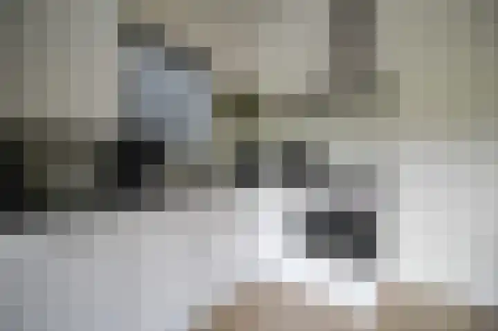 Harremaatweg 46 15 Voorthuizen thumbnail 13