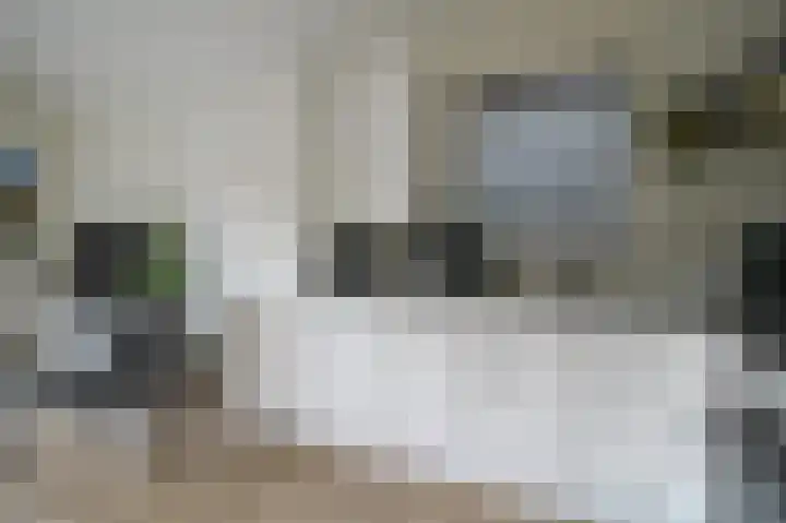 Harremaatweg 46 15 Voorthuizen thumbnail 14