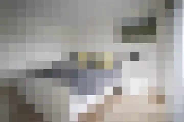 Harremaatweg 46 15 Voorthuizen thumbnail 15